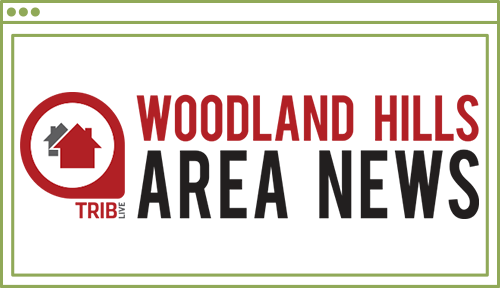 Woodland Explore Icon
